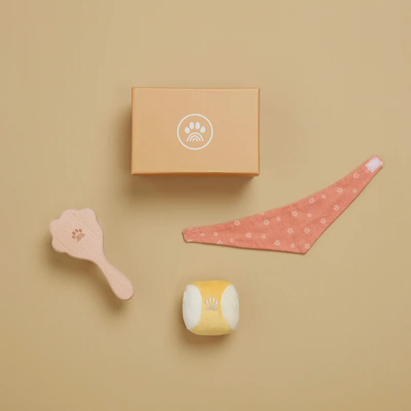 Olli Ella | Dinkum Dog Starter Set at Milk Tooth Australia