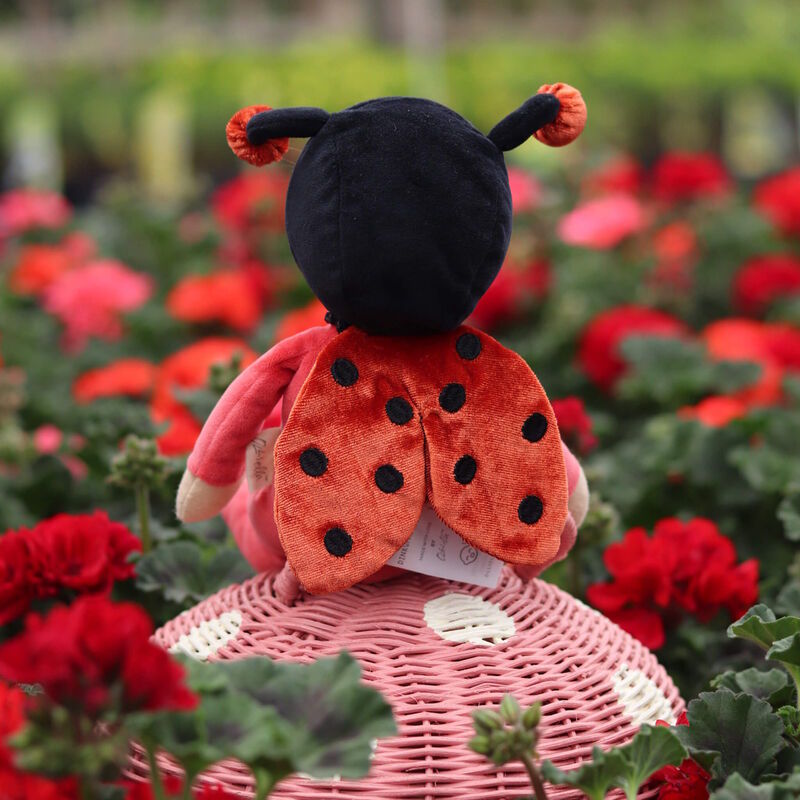 Olli Ella | Dinky Dinkum Lola Ladybug