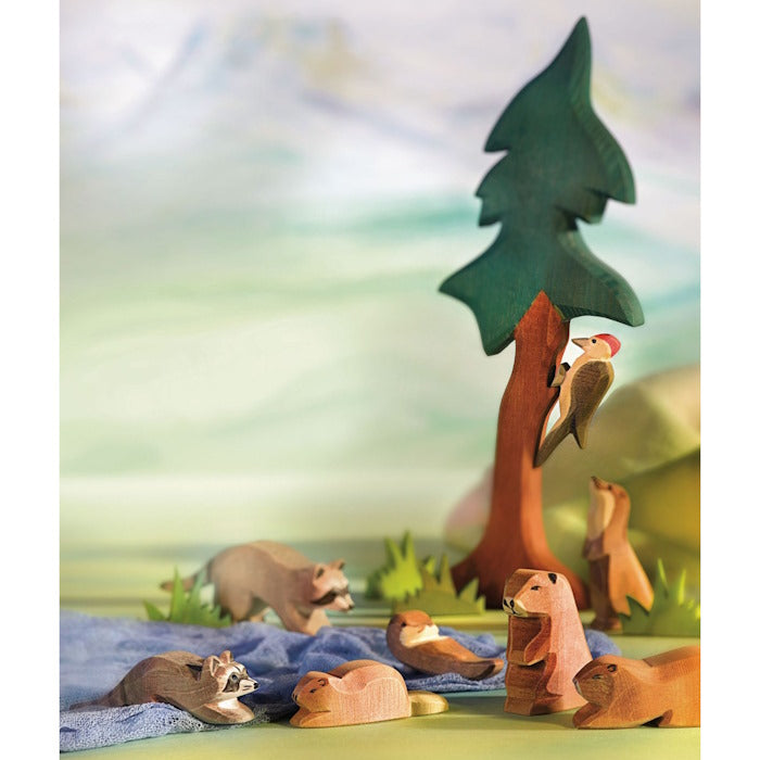 Ostheimer | Beaver Lying at Milk Tooth