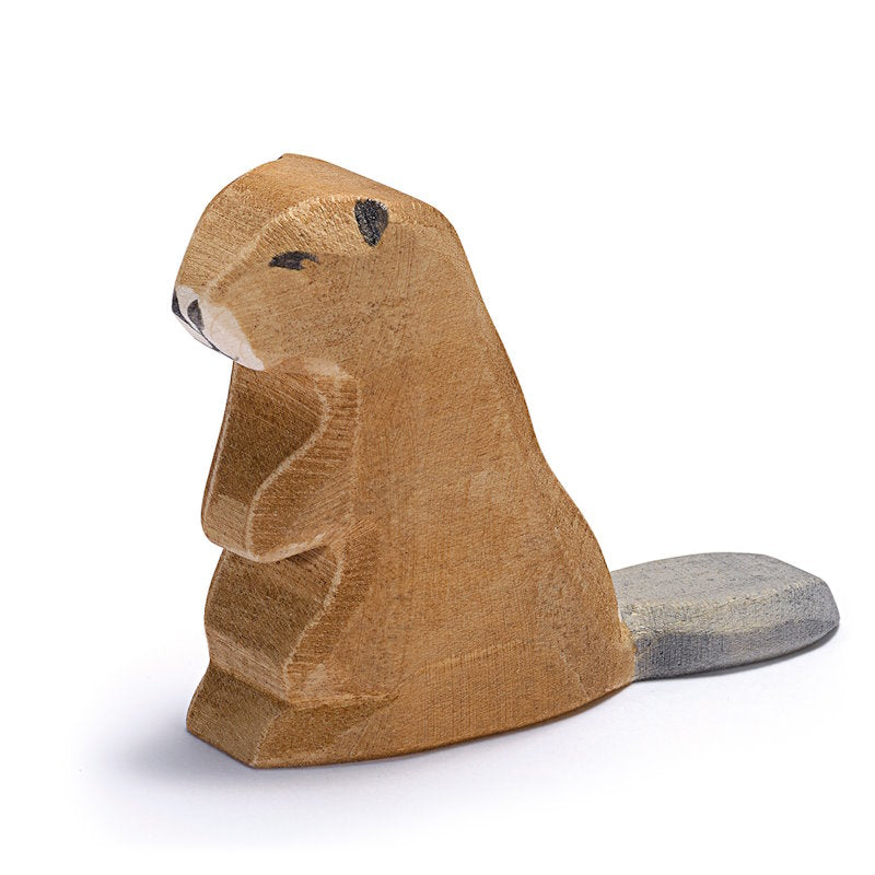 Ostheimer | Beaver Sitting at Milk Tooth