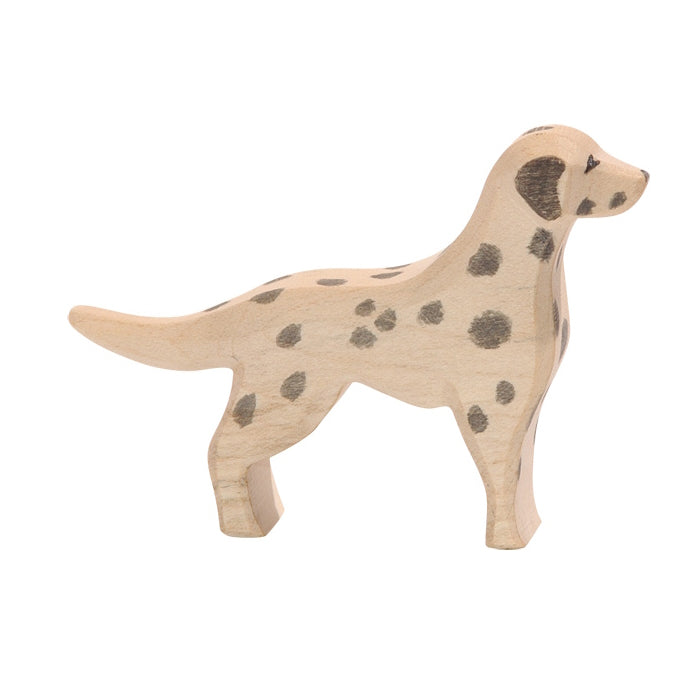 Ostheimer | Dalmatian at Milk Tooth