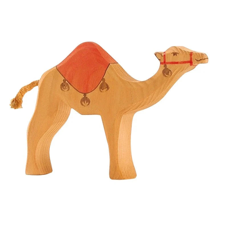 Ostheimer | Dromedary Camel with Saddle