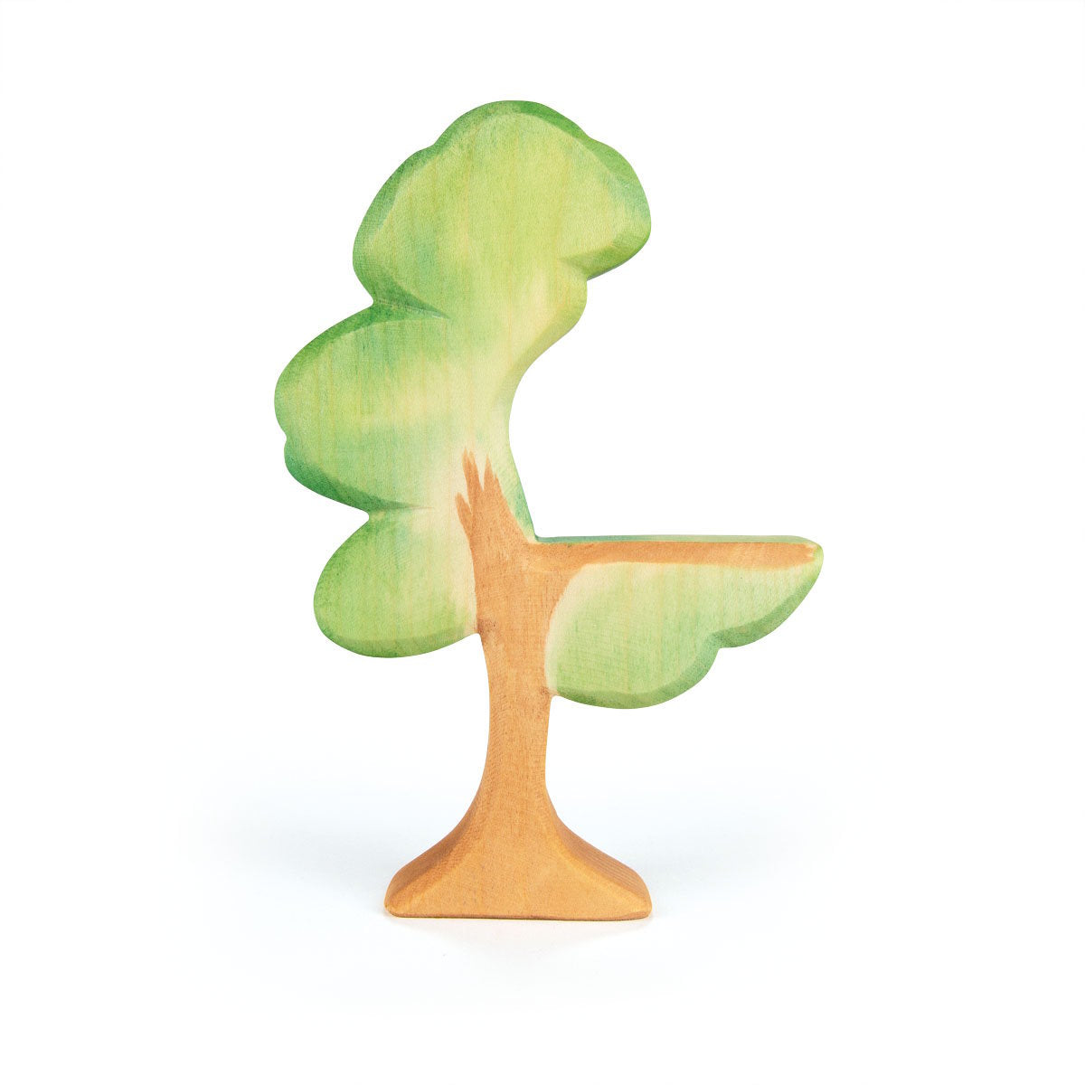 Ostheimer | Trees | Eucalyptus Tree