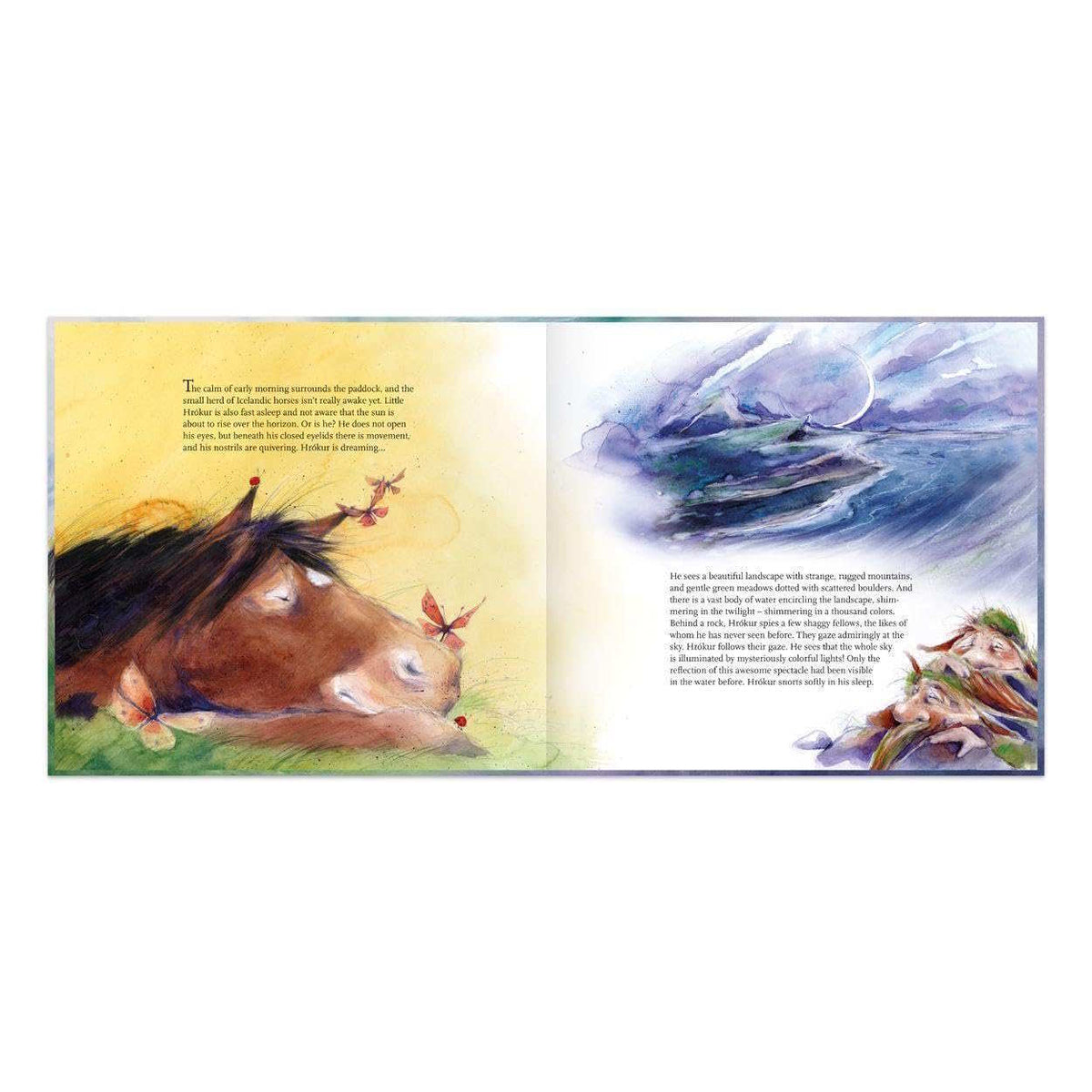 Ostheimer | Hrokur and the Skyriders Book