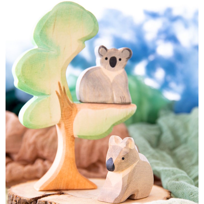 Ostheimer | Trees | Eucalyptus Tree