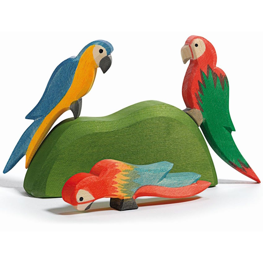 Ostheimer | Birds | Parrot Multicolour at Milk Tooth