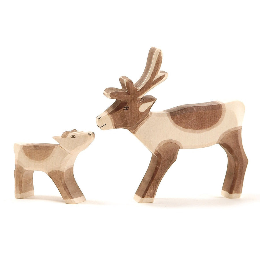 Ostheimer | Reindeer Calf at Milk Tooth