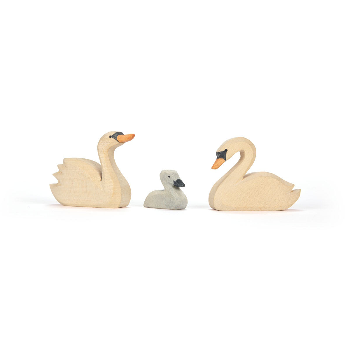 Ostheimer | Birds | Swan Little (Cygnet)