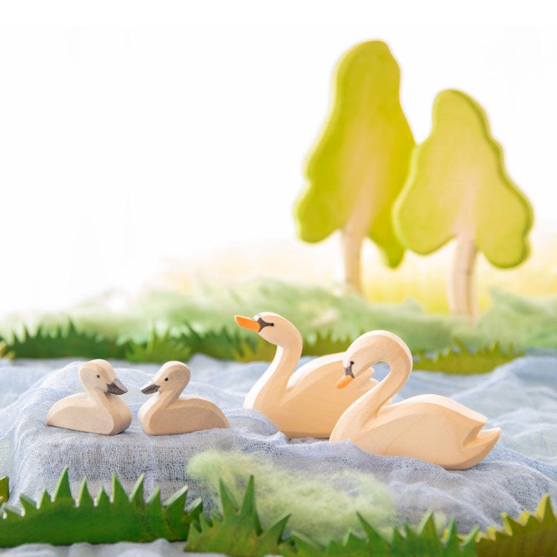 Ostheimer | Birds | Swan Little (Cygnet)