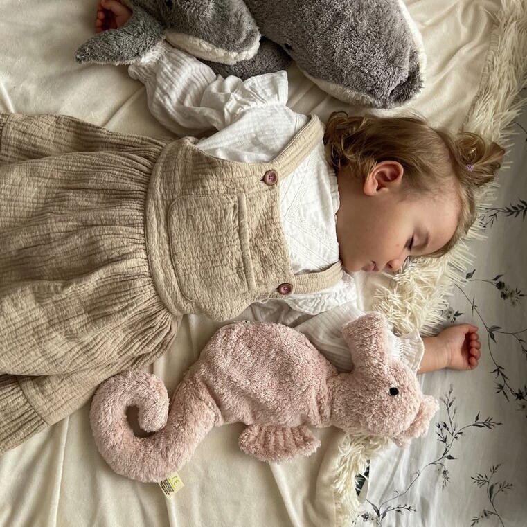 Senger | Cuddly Animal Seahorse Small w/ removable heat/cool pack at Milk Tooth Australia