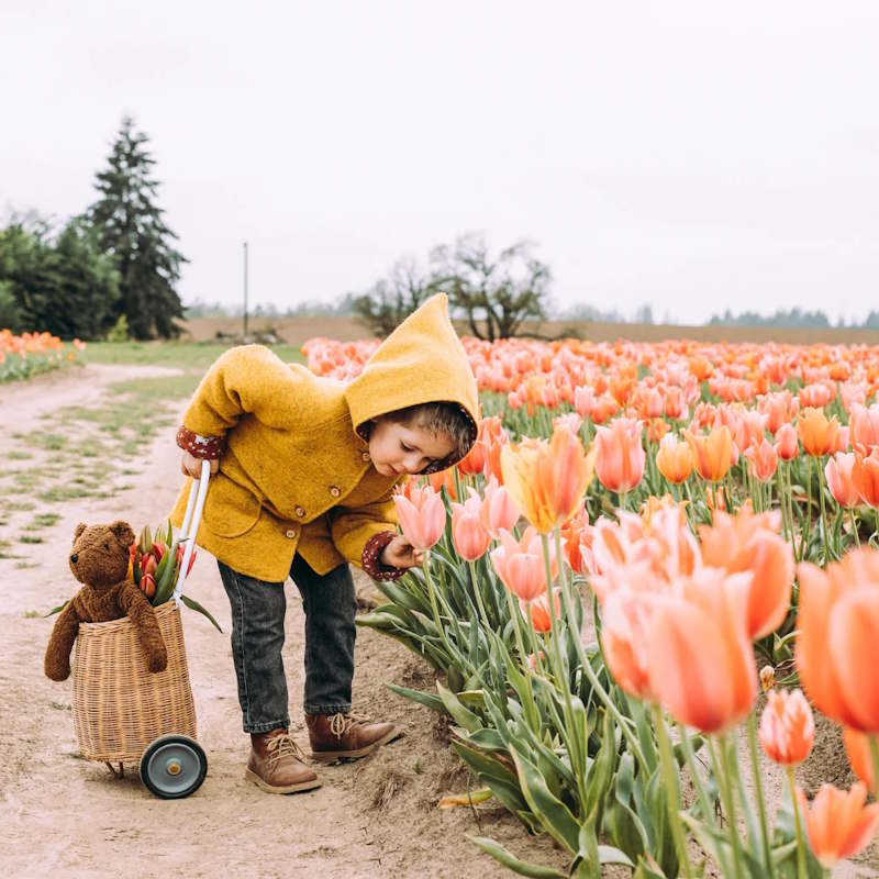 Senger | Floppy Animal Bear Large Brown at Milk Tooth Australia