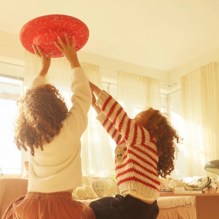 Stapelstein | Limited Edition Balance Board Red Rose Agaric Toadstool