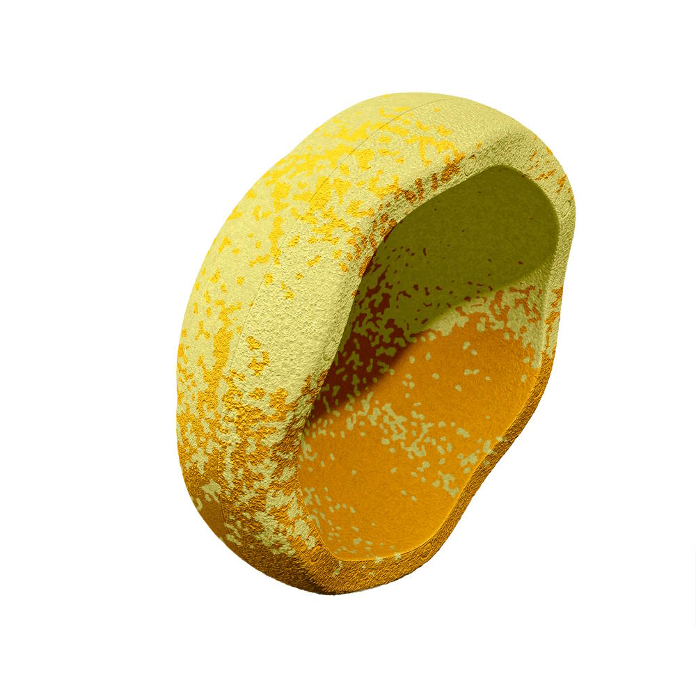 Stapelstein | Stone Wattle Australian Exclusive Limited Edition at Milk Tooth Australia