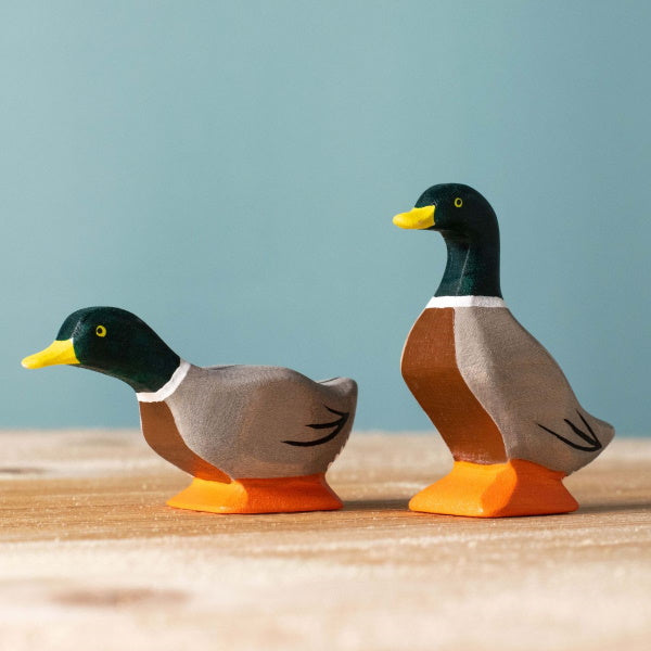 Bumbu Toys | Mallard Duck Peering at Milk Tooth