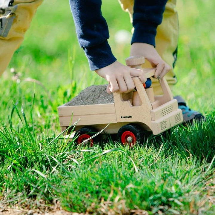 Fagus | Basic Model Truck at Milk Tooth