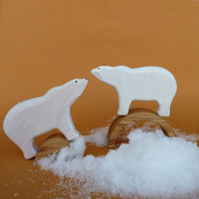 Forest Melody | Polar Bear at Milk Tooth