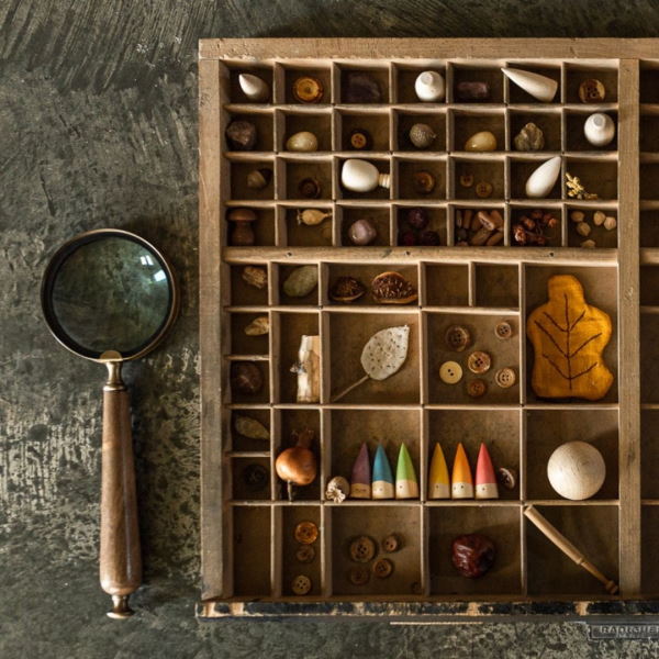 Grapat | Baby Palos Sticks in a nature finds box