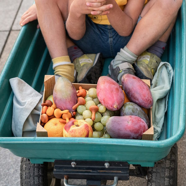 Grapat | Mandala | Orange Pumpkins 36 Pieces at Milk Tooth