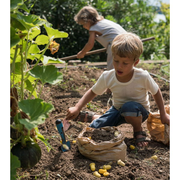 Grapat | Mandala | Yellow Tulips 36 Pieces at Milk Tooth