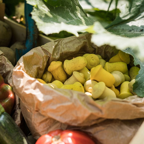 Grapat | Mandala | Yellow Tulips 36 Pieces at Milk Tooth