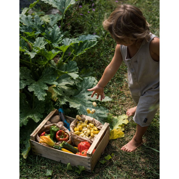 Grapat | Mandala | Yellow Tulips 36 Pieces at Milk Tooth