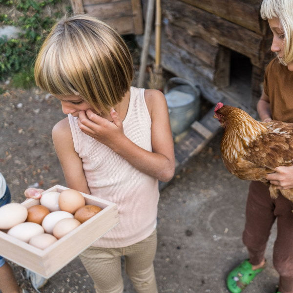 Grapat Storage Box at Milk Tooth
