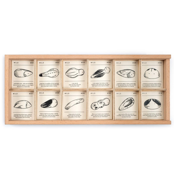 Grapat | Wild set of 12 wooden creatures at Milk Tooth toys