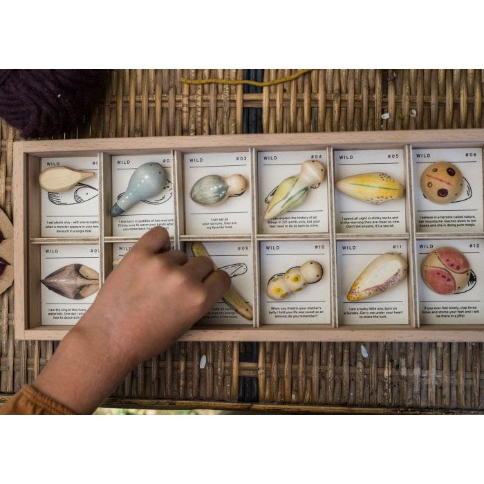 Grapat | Wild set of 12 wooden creatures at Milk Tooth toys