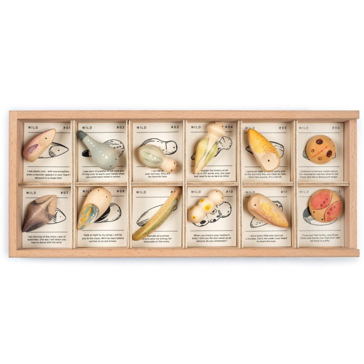 Grapat | Wild set of 12 wooden creatures at Milk Tooth toys