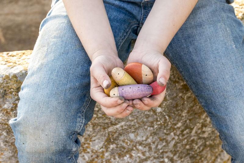 Joguines Grapat | Wooden Toys | 18 Bugs Insects