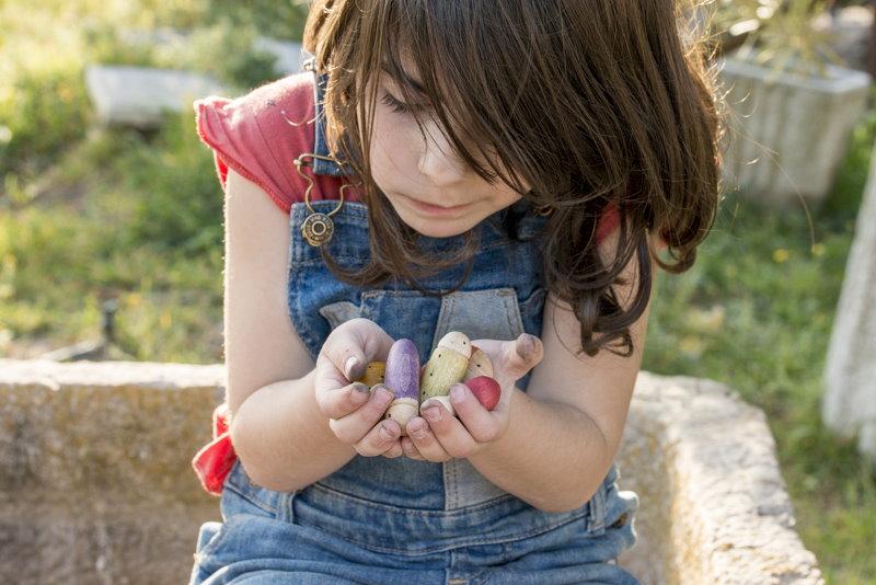 Joguines Grapat | Wooden Toys | 18 Bugs Insects