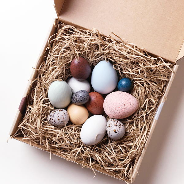 Moon Picnic | A Dozen Bird Eggs in a Box