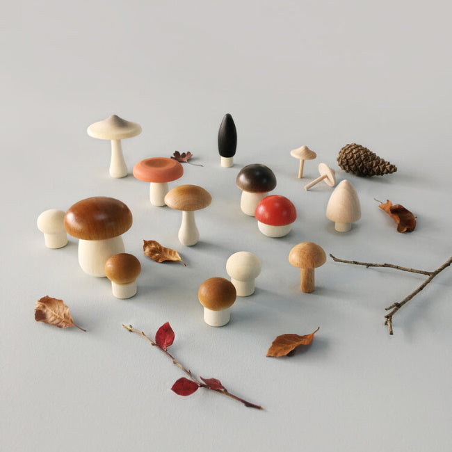 Moon Picnic | Forest Mushrooms Basket