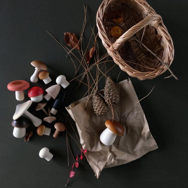 Moon Picnic | Forest Mushrooms Basket