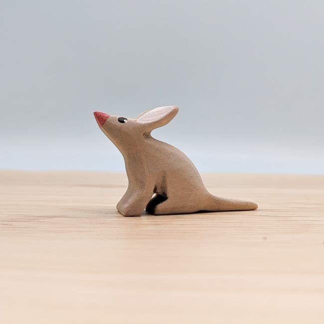 NOM Handcrafted | Bilby Stargazing at Milk Tooth