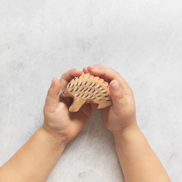 NOM Handcrafted | Echidna at Milk Tooth