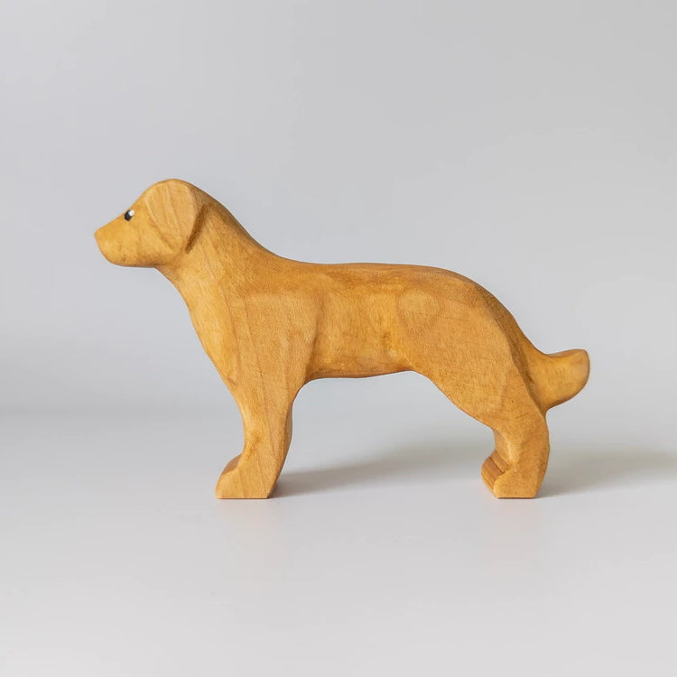 NOM Handcrafted | Golden Retriever at Milk Tooth