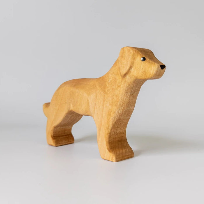 NOM Handcrafted | Golden Retriever at Milk Tooth
