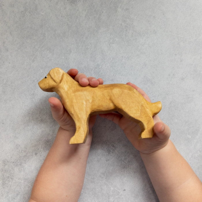 NOM Handcrafted | Golden Retriever at Milk Tooth