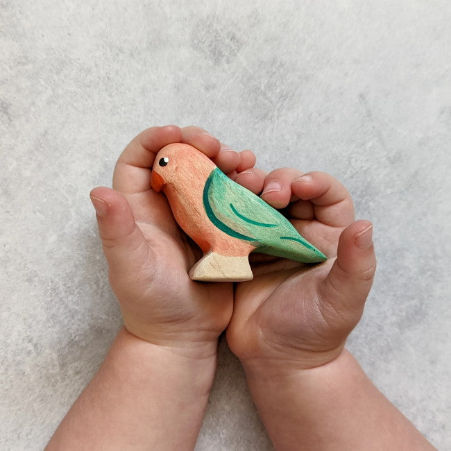 NOM Handcrafted | King Parrot Male at Milk Tooth