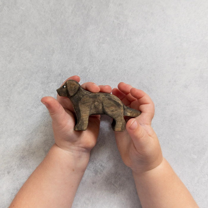 NOM Handcrafted | Puppy Standing at Milk Tooth