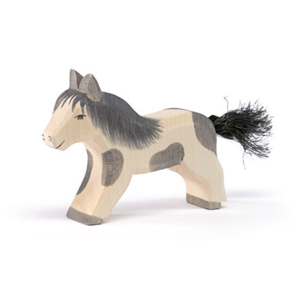 Ostheimer Shetland Pony Running 11304