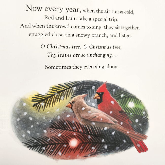 Red &amp; Lulu | Paperback Book at Milk Tooth