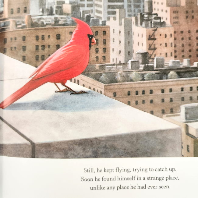 Red &amp; Lulu | Paperback Book at Milk Tooth